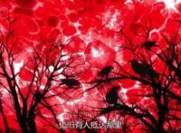 有生之年系列,这部充满戏言的杀人悬疑终于告一段落!