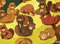 毛球遍地走，狸猫满天飞《有顶天家族》