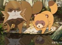 动漫有顶天家族，体味逍遥自在的人生，立意更是一个高度