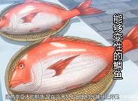厨神小当家第5集：有趣的食材，比人还大的水牛，会变性的鲷鱼！