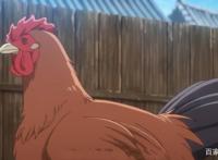 厨神小当家第一集：小当家改名阿昴哥，新一季的这道菜你我都会做