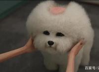 爱，死亡和机器人第二季（含剧透）