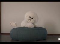 《爱，死亡和机器人》第二季仅8集，新预告公布