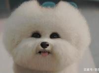 爱，死亡和机器人第二季