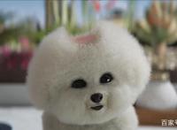 《爱，死亡和机器人》第二季：猫和脑洞都没了，最后一集有深度