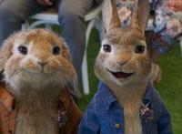 007之后，《比得兔2：逃跑计划》也推迟上映