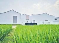 首批60多项精彩文旅活动，为你在上海的国庆假期加分！