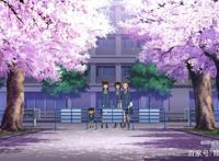 樱花见证爱情，两对青梅竹马，工藤新一毛利兰与服部平次远山和叶