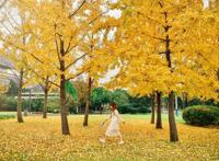 上海周边绝美赏秋地，这15处值得打卡！