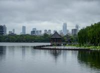 大明湖畔惊现“夏雨荷”……