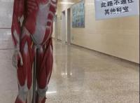 华西医院硬核指路牌火了！网友：半夜不得吓死？医生这样回应…