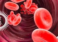 你的血型与性格、智商、社会地位，真的有关系么？