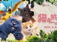 《猫与桃花源》上映最强亲子动画电影让人期待