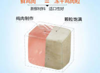 养猫和养狗，过的是不一样的人生！