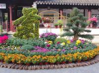 【乐游】赏花、采摘、秋游，超多文旅展演活动等您来约~