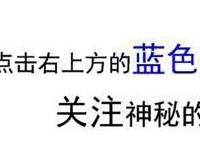 你遭难了吗：萌妹子们修学之旅变成荒岛求生，这是什么糟糕的剧情