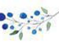 整整两年，这个杭州男人都不敢告诉妈妈自己在做啥！...