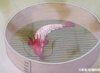 日漫中五部关于美食的番看完都馋哭了！