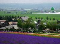 一个动画带红一个城市，圣地巡礼的影响可以无限大！