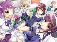 动漫：这些后宫番没看过，你敢说自己熟知二次元？