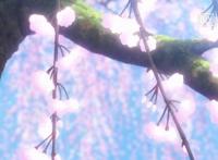 《魔卡少女樱》第五话，小樱的赏花会，美得令人窒息，这才叫踏青