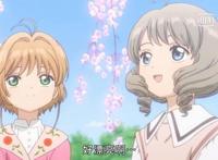 《魔卡少女樱》第五话，小樱的赏花会，美得令人窒息，这才叫踏青