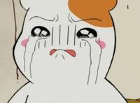 《我家浴缸的二三事》之后这些泡面番也不能错过~