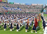 中国棒球崛起之路：少年强则棒球强