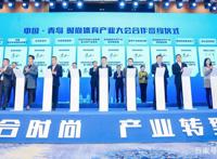 中国棒球崛起之路：少年强则棒球强