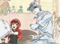 最好看的夏季动画排名《工作细胞》夺冠