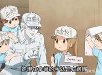 最好看的夏季动画排名《工作细胞》夺冠