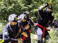 别让动画片骗了，其实日本忍者战斗力很弱，根本无法与军队抗衡