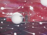 四月画风最魔性的动漫MV估计就是这三部动画了，个个都是神经级别