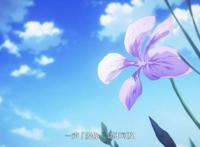 紫罗兰永恒花园