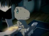 挥别青春，奔向未来，《数码宝贝最后的进化》，打破青春最后的梦