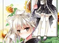 日本动漫人气女角色排名前十五名