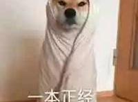 第一眼看到这部动画的男主，肯定会被其靠谱的外貌所欺骗