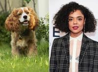 迪士尼真人版《小姐与流浪汉》首发剧照，“女武神”配音