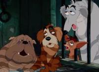 《雷神3》女武神为真人版《小姐与流浪汉》的可卡犬淑女配音！