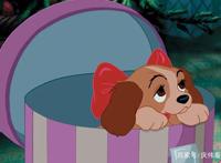 小姐与流浪汉：60年前就拍出了唯美面条吻，宠物狗也有甜甜的爱情