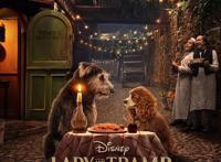 迪士尼真狗版《小姐与流浪汉》首发预告重现经典吃意面场景今年11月12日首播