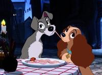 迪士尼真狗版《小姐与流浪汉》首发预告重现经典吃意面场景今年11月12日首播