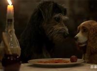 您有一份真狗粮待签收！《小姐与流浪汉》公布首版预告