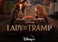 迪士尼《小姐与流浪汉》真狗版登场，狗狗出席首映会表示一脸懵