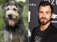 失去美感？迪士尼真狗版《小姐与流浪汉》曝剧照