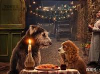 “真狗版”《小姐与流浪汉》成为迪士尼2019年，评价最高翻拍电影