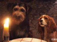 “真狗版”《小姐与流浪汉》成为迪士尼2019年，评价最高翻拍电影