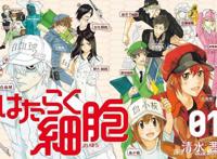 神仙续作也要低头，18年番剧中异常强势的黑马霸权新番！