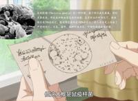 10部好看涨知识的科普类动漫，你都看过吗？科普类补番推荐