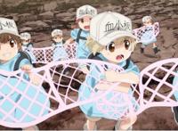 10部好看涨知识的科普类动漫，你都看过吗？科普类补番推荐